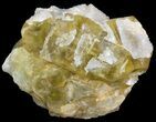 Quartz Encrusted Yellow Cubic Fluorite Cluster - Morocco #44854-1